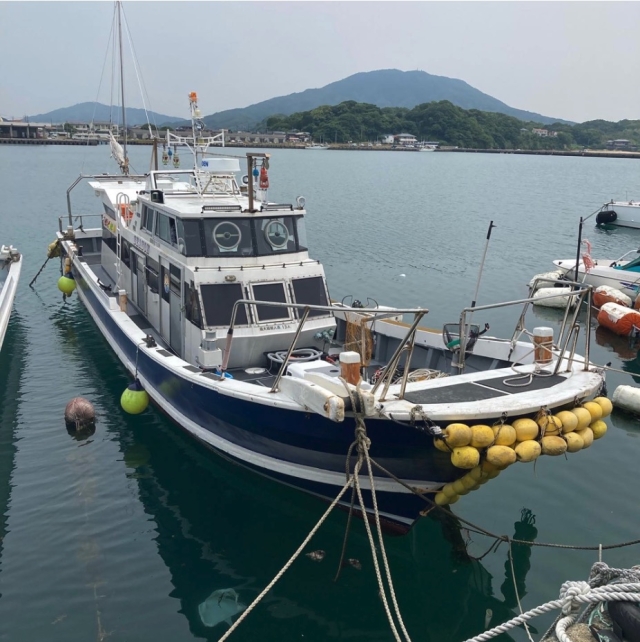 糸島アングラーペッシ さんの 2024年03月31日のソゲの釣り・釣果情報(福岡県 - 加布里漁港) - アングラーズ