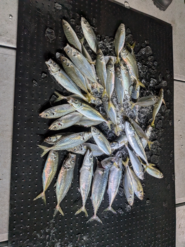 貸船