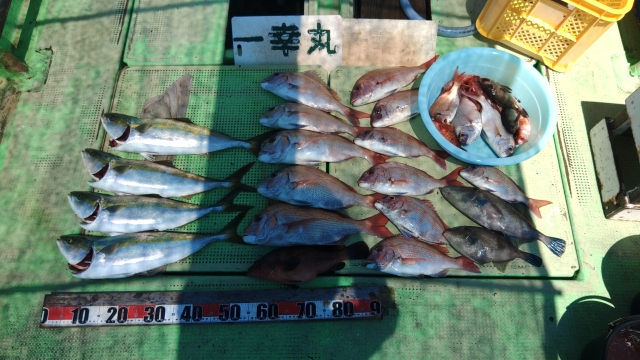 貸船