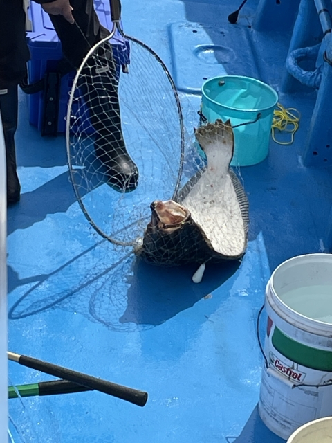 貸船