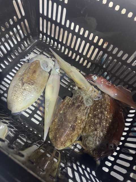 貸船