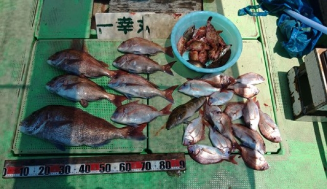 貸船